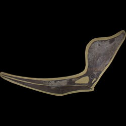 Pteranodon sternbergi