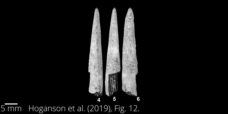 <i> Xiphactinus vetus </i> from the Maastrichtian Fox Hills Fm. of North Dakota. Image is derived from Hoganson et al. (2019; Bulletins of American Paleontology No. 398) and is used here with permission of the Paleontological Research Institution, which retains the copyright.